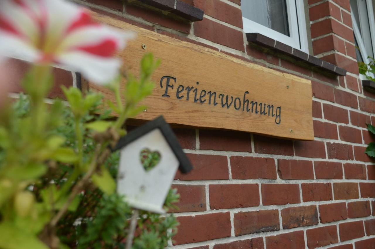 Fewo Deichblick Wischhafen Zewnętrze zdjęcie